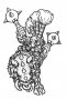 Bougre sur Razorback (3)